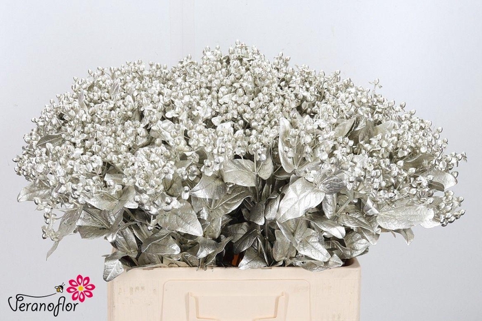 <h4>HYP OV KLB H%</h4>