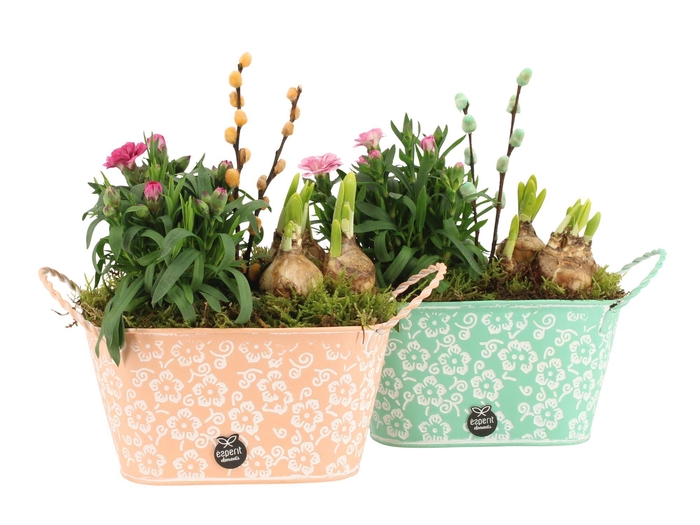 <h4>11644: Outdoor spring arrangement</h4>