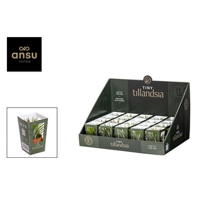 TILL OV