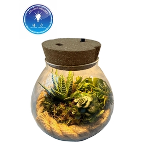 ARR.  LED KAMERPLANT