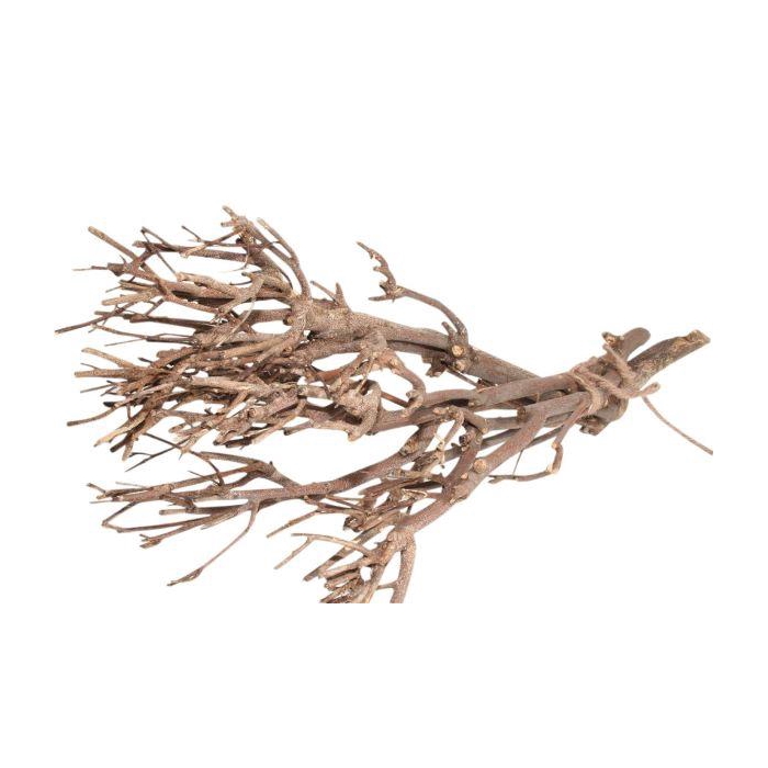 <h4>Bundle Twig L30</h4>