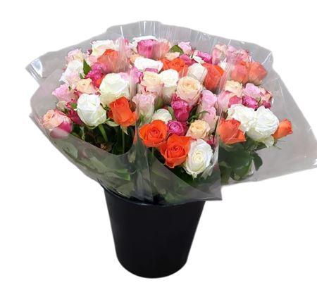 <h4>R Gr Rainbow Mix</h4>