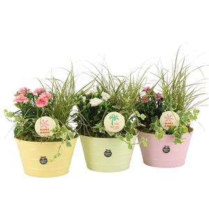 31653: Outdoor summer arrangement