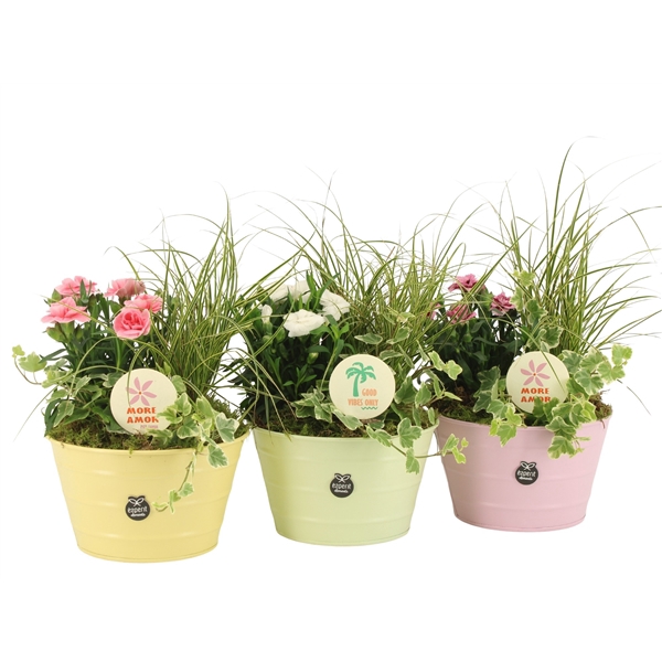 <h4>31653: Outdoor summer arrangement</h4>