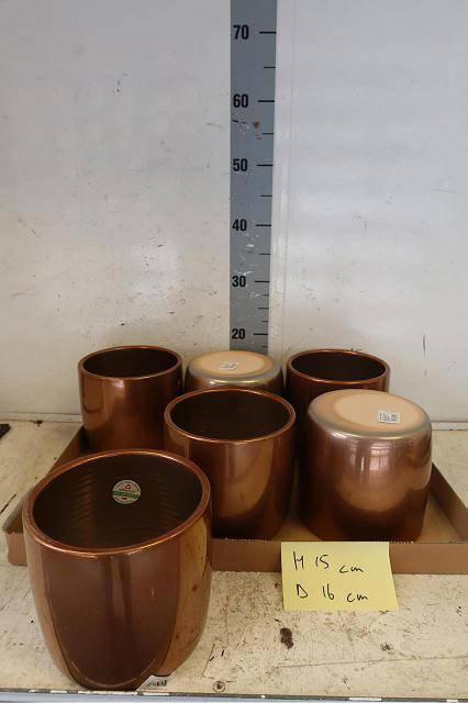 <h4>HUIS EN TUINDECO H%</h4>