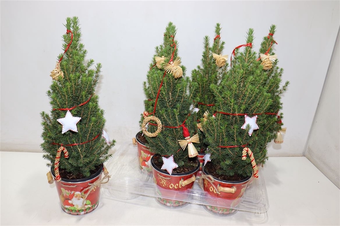 <h4>arr8 Kerstboom Versierd In Zinken Emmer</h4>