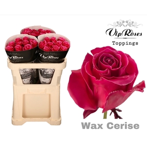 R GR WAX CERISE x30 998