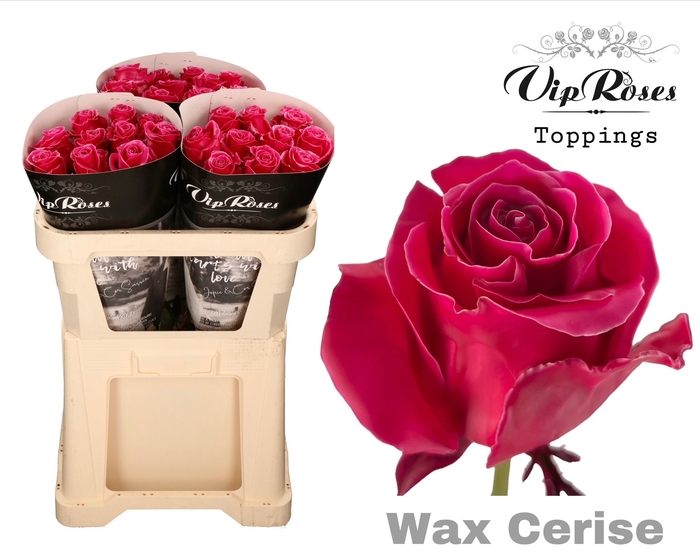 <h4>R GR WAX CERISE x30 998</h4>