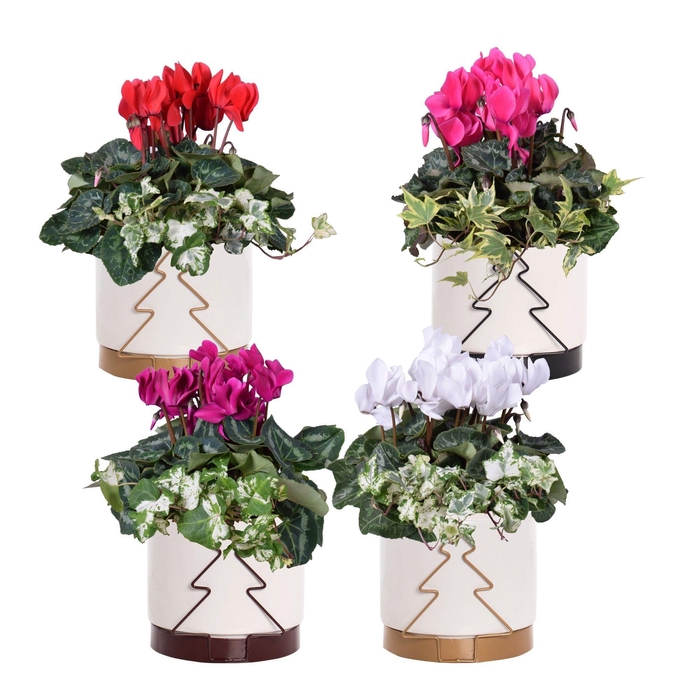 <h4>Collectie 'Glam Empire' - Arrangement Tree</h4>