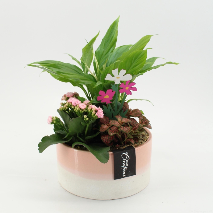 <h4>ESCR-2639RZ Essentials</h4>