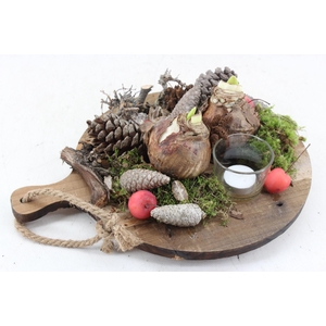 arr4 Amaryllis MB - Dienblad rond 2bol red