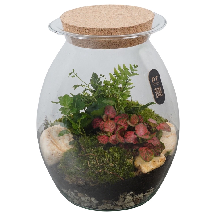 <h4>Arr.   Kamerplant Groen H%</h4>