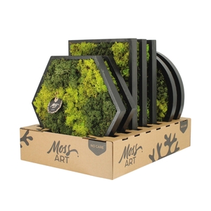 90784: Moss Art Mix Rectangular / Round / Hexagonal D38