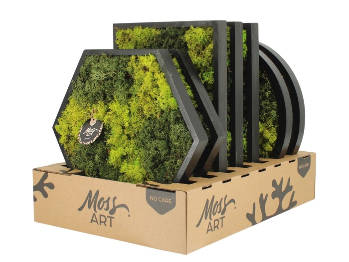 <h4>90784: Moss Art Mix Rectangular / Round / Hexagonal D38</h4>