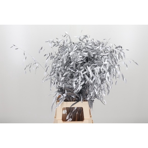 Chasmantium Kl Bh Zilver