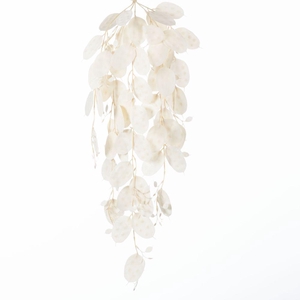 AF Hang Bush Lunaria x5 L79cm