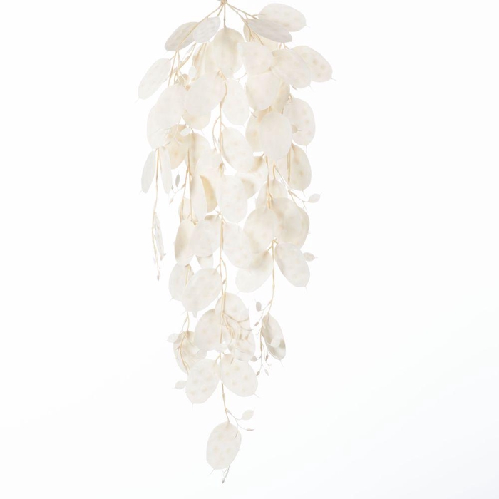 <h4>AF Hang Bush Lunaria x5 L79cm</h4>
