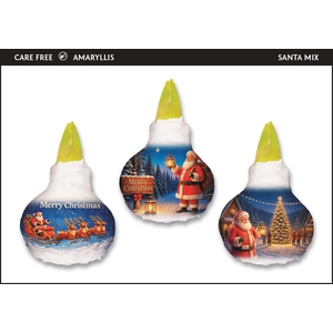 A.BULB of Art - 36cm Santa Mix