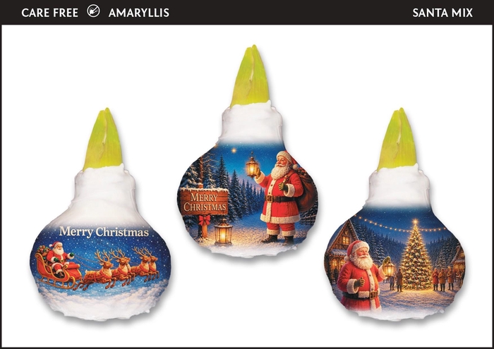 <h4>A.BULB of Art - 36cm Santa Mix</h4>
