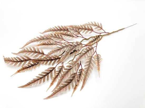 Fern Leaves L70