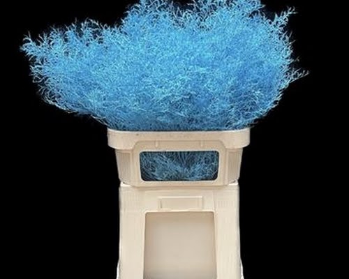 <h4>limonium Beltlaard Klb Light Blue</h4>