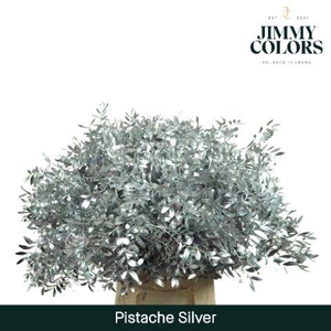 Pistache L45 Metallic silver