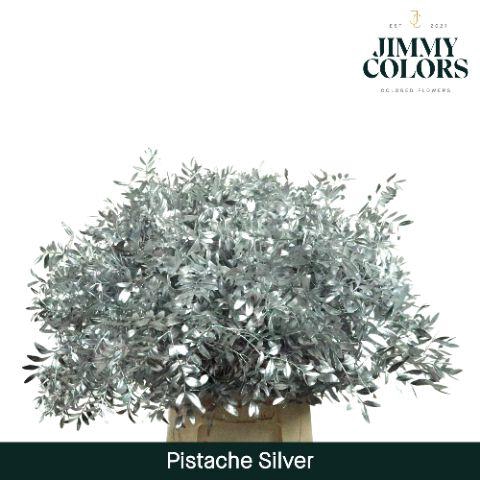 <h4>Pistache L50 Metallic silver</h4>