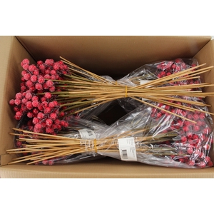 Stick Berries Rose Hips Snow