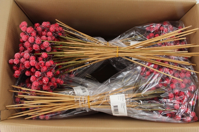 <h4>Stick Berries Rose Hips Snow</h4>