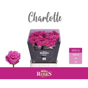 R GR CHARLOTTE