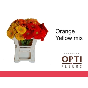 GE GR ORANGE YELLOW MIX-Water