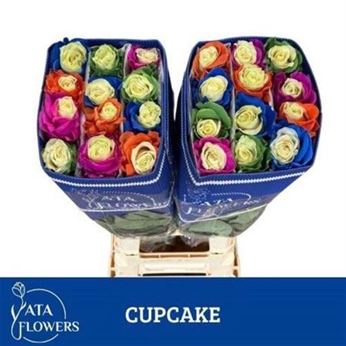 <h4>R Gr Cupcake Ec</h4>