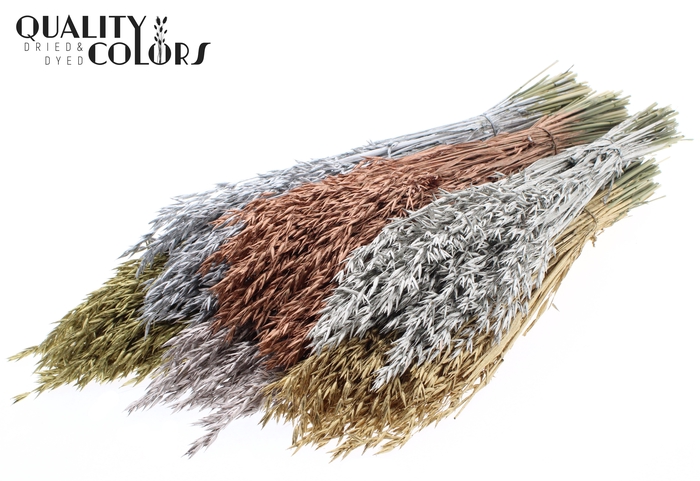 <h4>Avena per bunch Mixed colours Metallic</h4>
