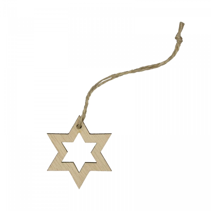 <h4>Christmas Deco hanging star  5cm x24</h4>