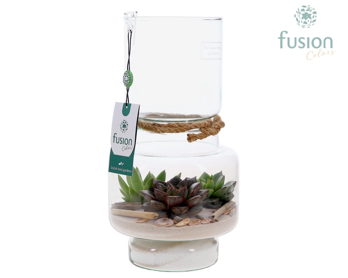 <h4>Green Bottle Lotte Medium met Maritiem arrangement</h4>