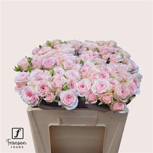 R TR Love me with Fatal atraction