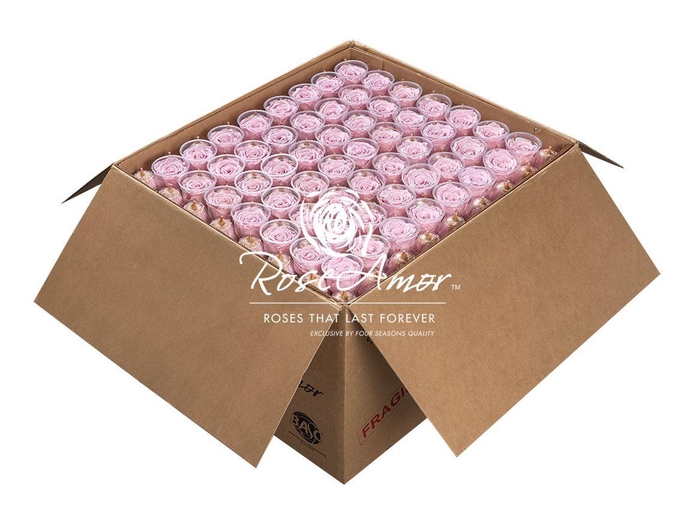 <h4>Xl Bulk Pin04</h4>