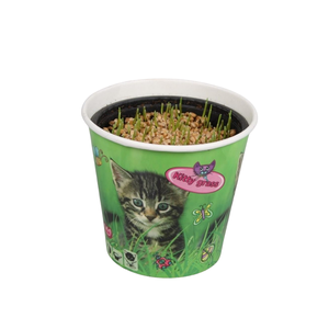 Triticum in kattenbeker