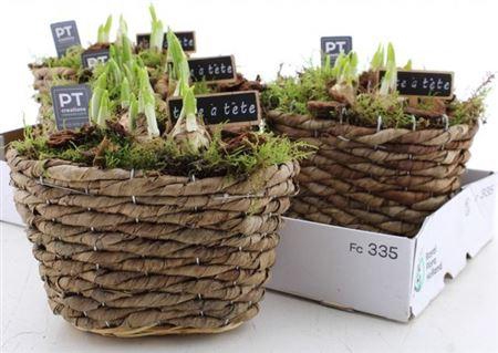 <h4>Arr N Tete A Tete</h4>