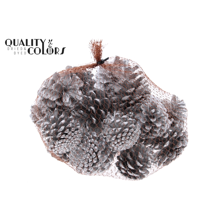 <h4>Pine cone 500gr in net Silver</h4>