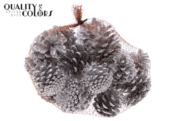 Pine cone 500gr in net Silver