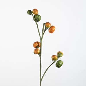 AF Capsicum spray x4 L88cm or