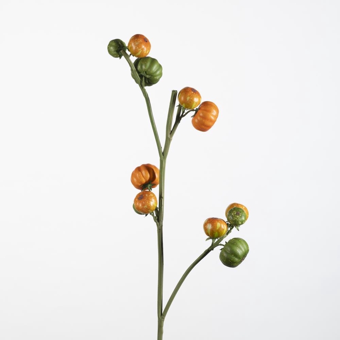 <h4>AF Capsicum spray x4 L88cm or</h4>