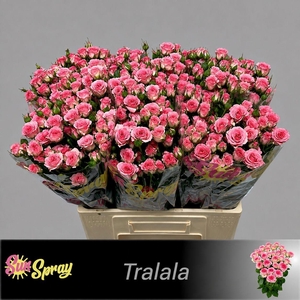 R TR TRALALA