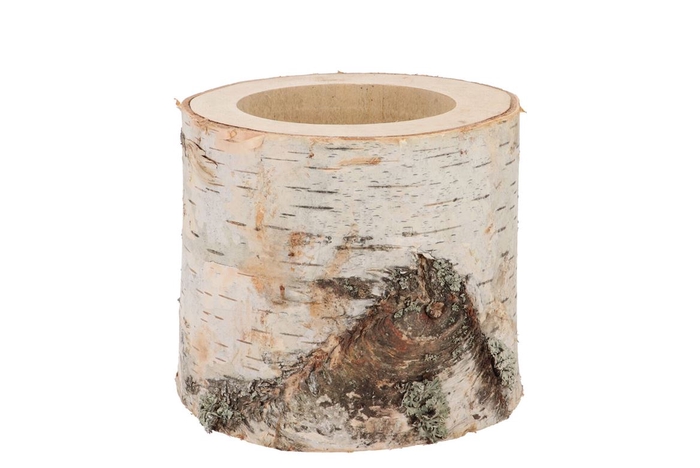 <h4>Nature Birch Pot D13-15cm X 11cm</h4>