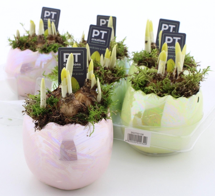 <h4>ARR N TETE A TETE</h4>