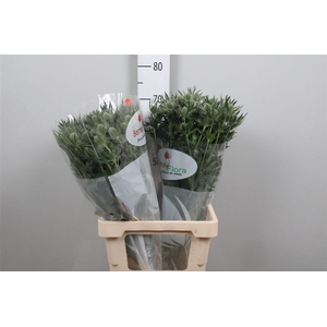 Eryn Mag Whit Lagoon