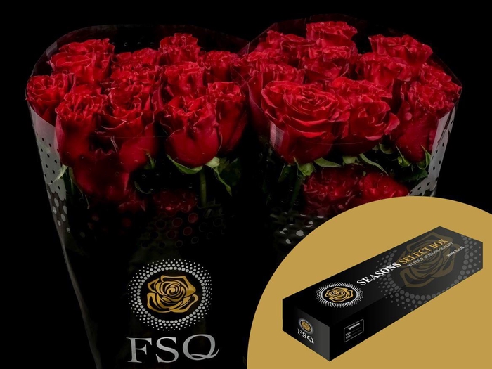 <h4>R GR Hearts Box</h4>