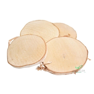 WOOD SLICES BIRCH D10 10PCS 