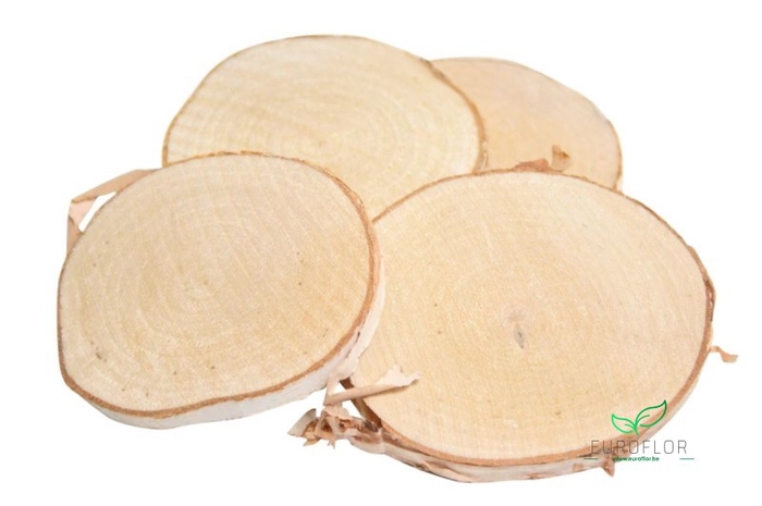 WOOD SLICES BIRCH D10 10PCS 